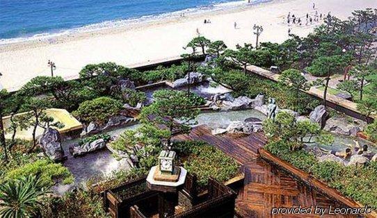 فندق Rio Roiss ريو دي جانيرو المظهر الخارجي الصورة